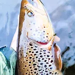 Appartement Oak Tree Nestled In The Hills Of The District And Yorkshire Dales *