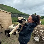 Oak Tree Nestled In The Hills Of The District And Yorkshire Dales Appartement Tebay (Cumbria)