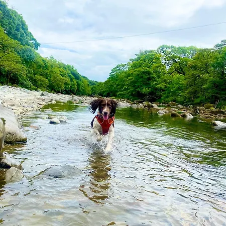 Apartment Oak Tree Nestled In The Hills Of The District And Yorkshire Dales