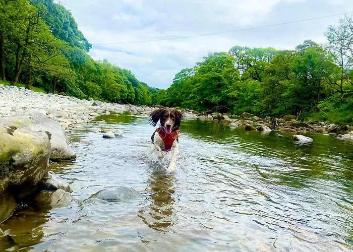 Apartman Oak Tree Nestled In The Hills Of The District And Yorkshire Dales